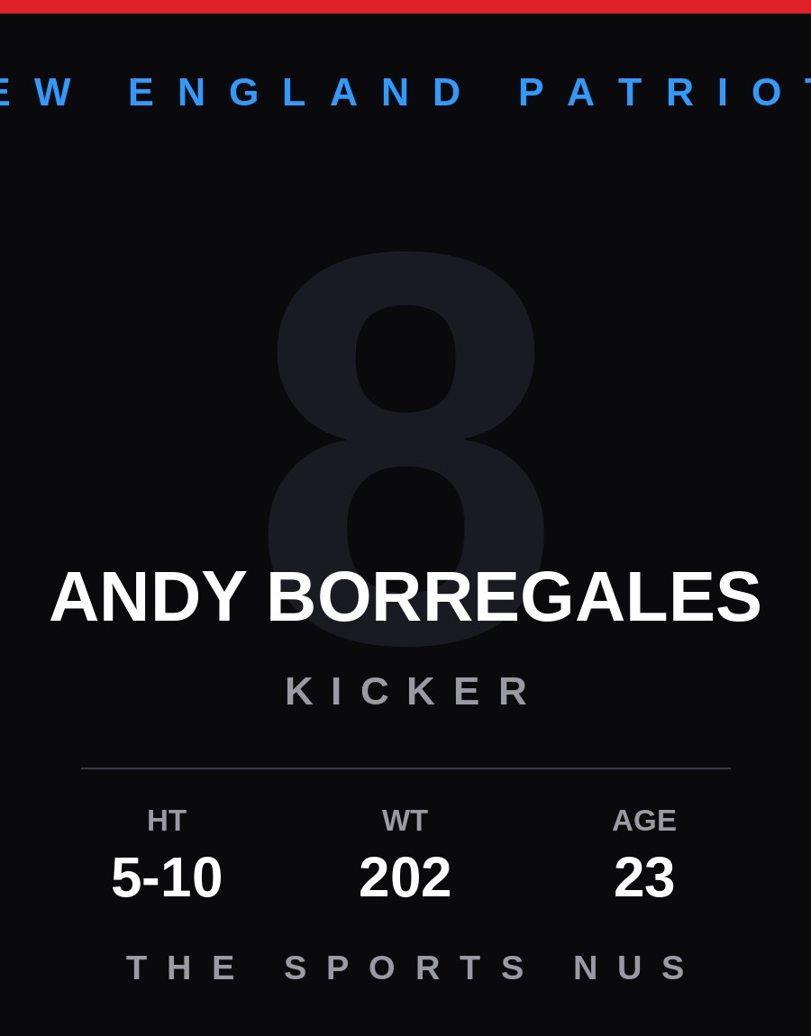 Andy Borregales player card: New England Patriots kicker, number 8