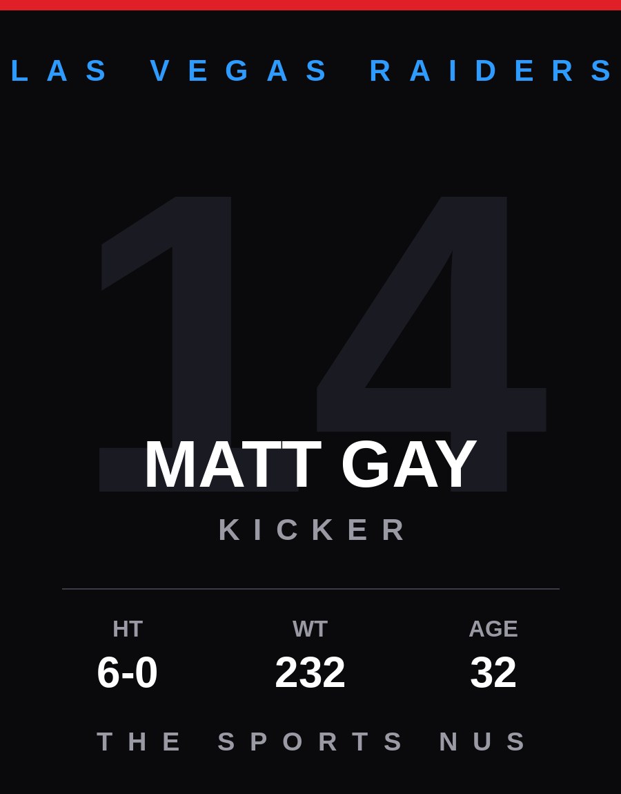 Matt Gay player card: Las Vegas Raiders kicker, number 14